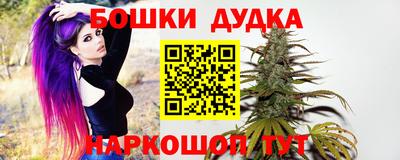 скорость Дубна