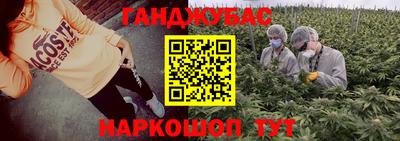 скорость Дубна